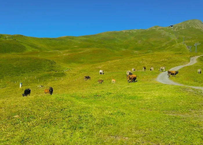 Bergrestaurant Lodge