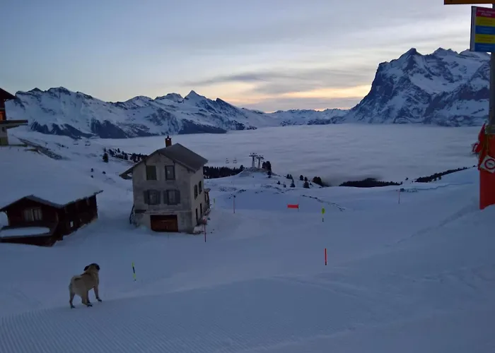 Gerendaház Bergrestaurant Kleine Scheidegg